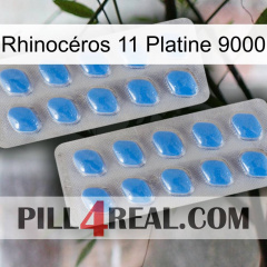 Rhinocéros 11 Platine 9000 23